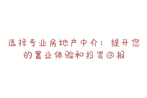 选择专业房地产中介：提升您的置业体验和投资回报
